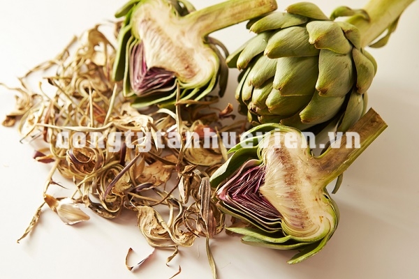 mua bông atiso sấy khô ở đâu